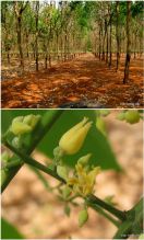 Obisk Kompongcham province